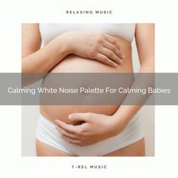 Calming White Noise Palette For Calming Babies - Ocean Sleep Sounds