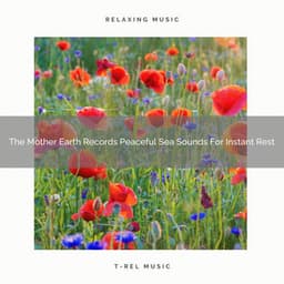 The Mother Earth Records Peaceful Sea Sounds For Instant Rest - Deep Rain Sampling