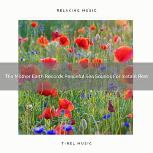 The Mother Earth Records Peaceful Sea Sounds For Instant Rest - Deep Rain Sampling