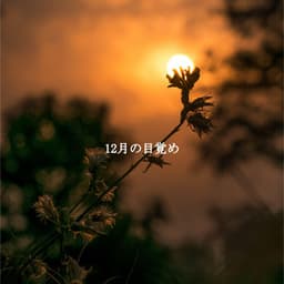 12月の目覚め - Essential Dinner Party Background Music