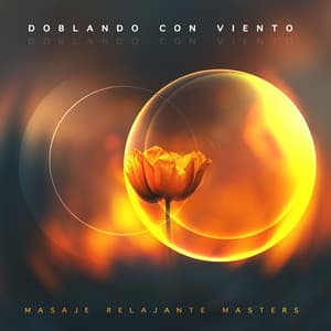 Doblando con Viento - Masaje Relajante Masters