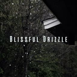 Blissful Drizzle: White Noise and Rain for Spa Indulgence - Heavy Rain Sounds