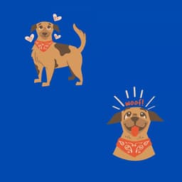 Tranquil Music for Doggy Musics - Latin Piano Jazz - Puppy Sleeping Sounds