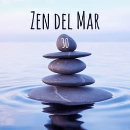 Zen del Mar - Ocean Beach Waves Consort