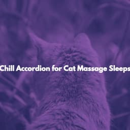 Chill Accordion for Cat Massage Sleeps - Lavoro da Casa Play List
