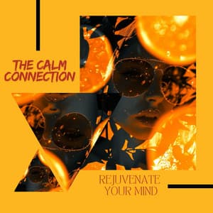 The Calm Connection: Rejuvenate Your Mind - Relaxation Time Studio