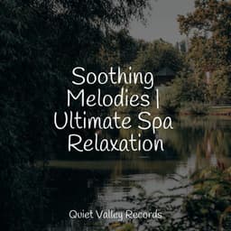 Soothing Melodies | Ultimate Spa Relaxation - Relajantes sonidos de lluvia
