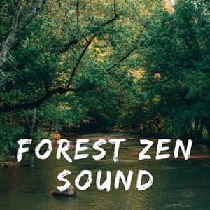Forest Zen Sound - Rainfall Sound for Sleep