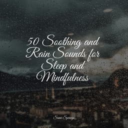 50 Soothing and Rain Sounds for Sleep and Mindfulness - Sonidos de la Naturaleza Relax
