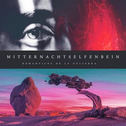 Mitternachtselfenbein - Romanticos De La Guitarra