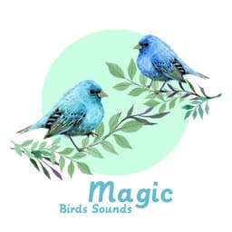 Magic Birds Sounds – Anti-Stress, Calming and Chill, Harmony, Nature, Peaceful and Serene Atmosphere - Singing Birds Zone