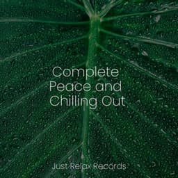 Complete Peace and Chilling Out - Alpha Waves
