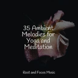 35 Ambient Melodies for Yoga and Meditation - The Sleep Specialist