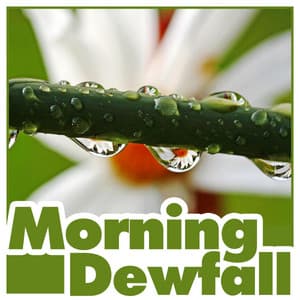 Morning Dewfall - Weather Sounds