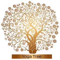 Yoga Tree – Calming Yoga Music to Create Your Perfect Yoga Space - Ahanu Om Chant