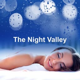 The Night Valley - Sleeping Baby Music