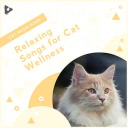 Relaxing Songs for Cat Wellness - Cat Music Hour