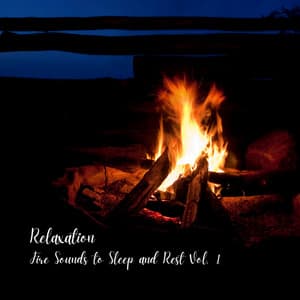 Relaxation: Fire Sounds to Sleep and Rest Vol. 1 - Music for Sleeping Ensemble