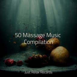 50 Massage Music Compilation - Meditación