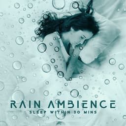 Rain Ambience: Sleep Within 30 Mins - Abundant Nature Zen
