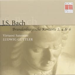 Johann Sebastian Bach: Brandenburg Concertos Nos. 2, 4, 6 - Johann Sebastian Bach