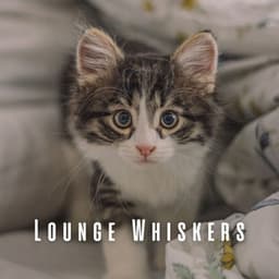 Lounge Whiskers: Relaxing Coffee Shop Jazz Tunes for Cats - Soft Cafe Lounge