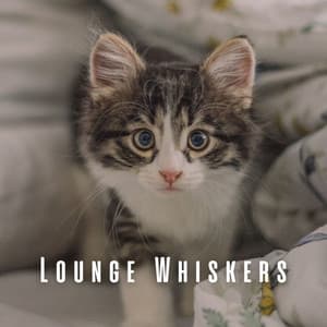 Lounge Whiskers: Relaxing Coffee Shop Jazz Tunes for Cats - Soft Cafe Lounge