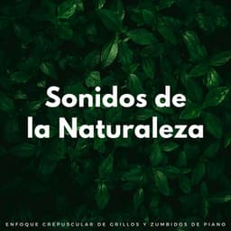 Sonidos De La Naturaleza: Enfoque Crepuscular De Grillos Y Zumbidos De Piano - Naturaleza Sonidos de la Tierra