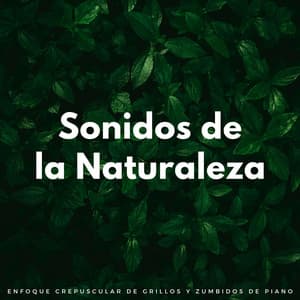 Sonidos De La Naturaleza: Enfoque Crepuscular De Grillos Y Zumbidos De Piano - Naturaleza Sonidos de la Tierra
