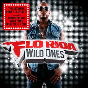 Wild Ones - Flo Rida