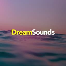 Dream Sounds - Sleep Sounds of Nature