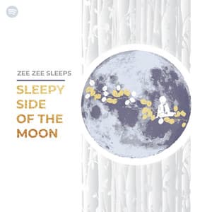 Sleepy Side of the Moon - Zee Zee Sleeps