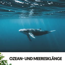 Ozean- und Meeresklänge: Melodien des tiefen Blaus - Cat Music Therapy