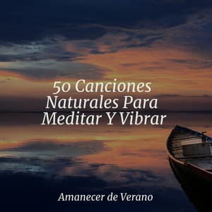 50 Canciones Naturales Para Meditar Y Vibrar - Relajación Piano