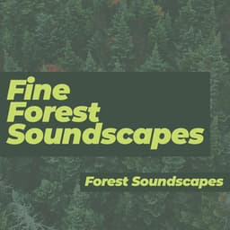Fine Forest Soundscapes - Forest Soundscapes