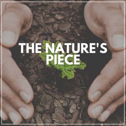 The Nature's Piece - Forest Soundscapes
