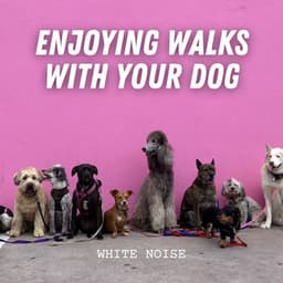White Noise: Enjoying Walks with Your Dog - White Noise Healing Method