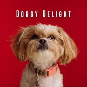 Doggy Delight: Chill Music for a Calm and Contented Canine - Doggy Doo-Wop
