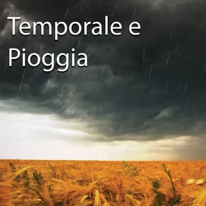 Temporale e Pioggia - Edgar Withers