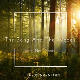 The Song And The Woods - The Net Chords
