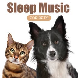 The Slow Fade Tranquil Pets - Giulia Tylor