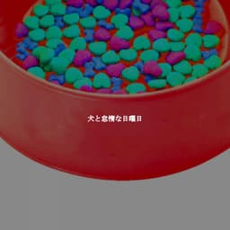 犬と怠惰な日曜日 - Descansar Musica