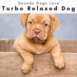 1 Turbo Relaxed Dog - Sounds Dogs Love