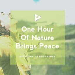 1 Hour Of Nature Brings Peace - Relaxing ASMR