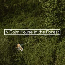 A Calm House in the Forest - Tranquility Spree