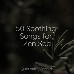 50 Soothing Songs for Zen Spa - Relaxing Nature Sounds Collection