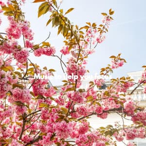 Music to help you focus - Cooking Background Music