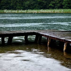 Rain and Wind Sleepy Ambience Vol. 2 - Sleep Music Guys