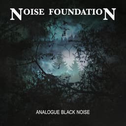 Analogue Black Noise - Noise Foundation