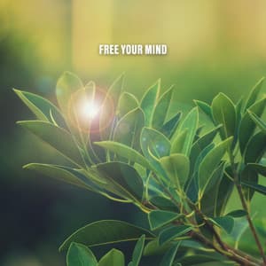 Free Your Mind - Cat Music